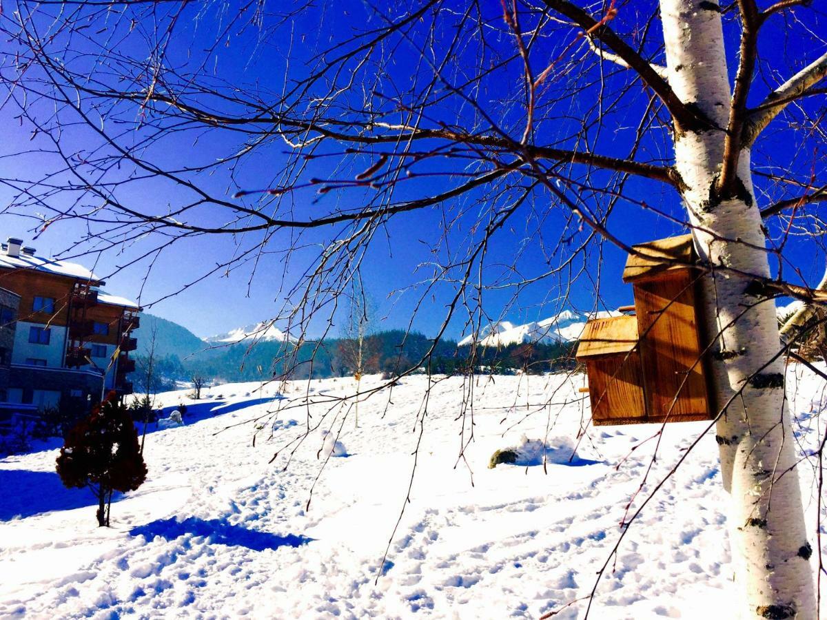 St. John Hill Bansko 아파트 외부 사진